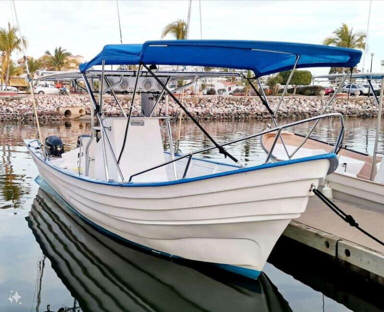 Mazatlan: Sea lions and snorkeling - Who Should Consider This Tour?