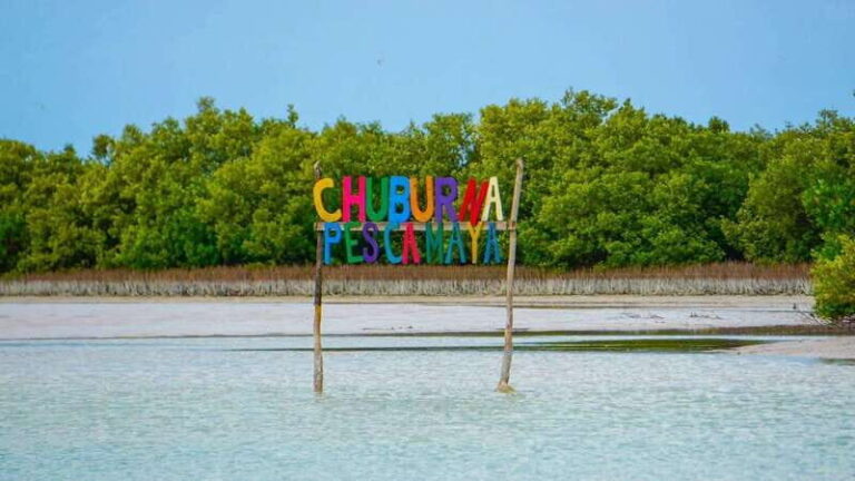 Merida: Swing Island Beach Tour with Kayaking - Why This Tour Stands Out