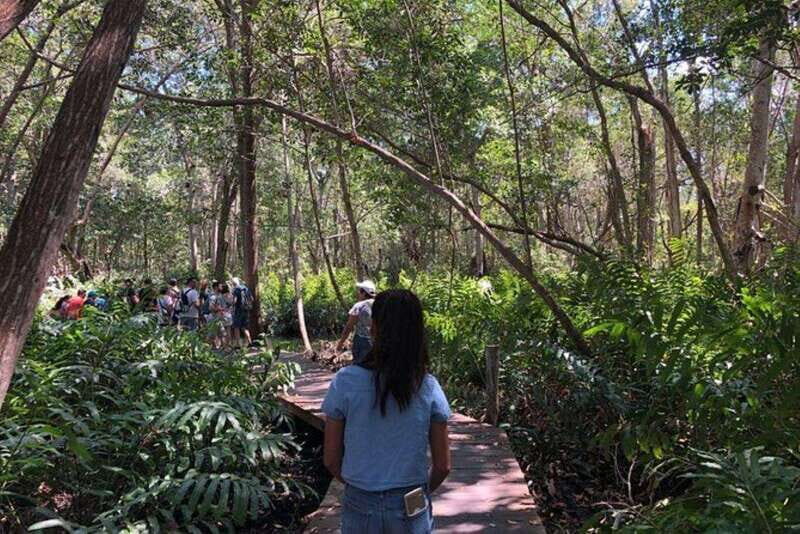 Merida: Tour to Celestún - Is This Tour Worth It?