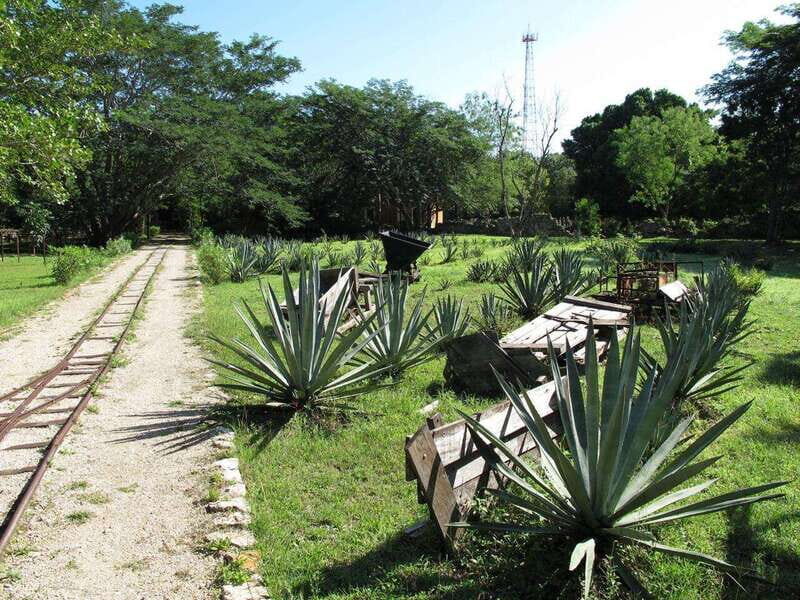 Merida: Yucatan Cenotes and Hacienda Full-Day Trip with Food - What to Expect from the Tour