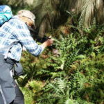 Mexico City: Guided Volcano Trek with Lunch - Possible Drawbacks and Considerations