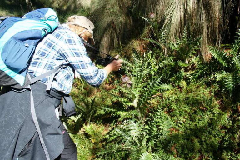 Mexico City: Guided Volcano Trek with Lunch - Possible Drawbacks and Considerations