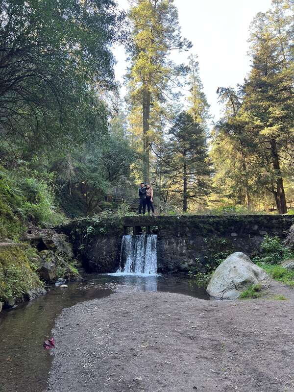 Mexico city: Hiking tour to Desierto de los leones - Why This Tour Offers Great Value