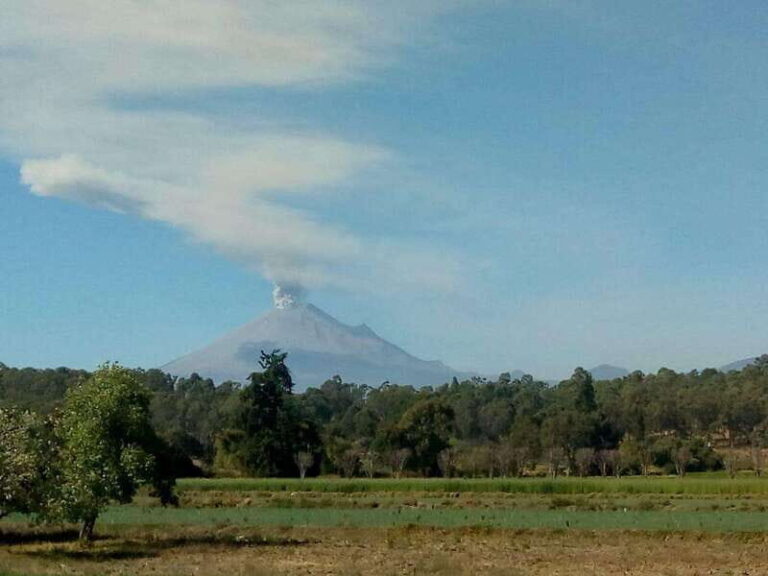 Mexico City: Private Tour of Puebla and Cholula - What to Expect from the Tour