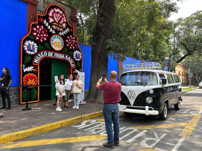 Mexico: Coyoacan & Xochimilco:VW bus, Boat & Brunch - Family - A Complete Look at the Tour Experience