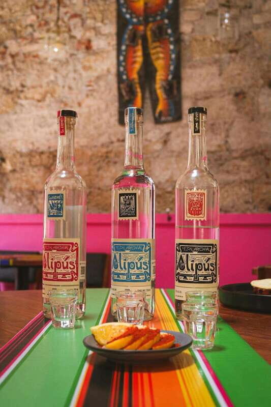 Mezcal Mexico City: Cultural Sips, Snacks and Mariachi - In-Depth Look at the Experience