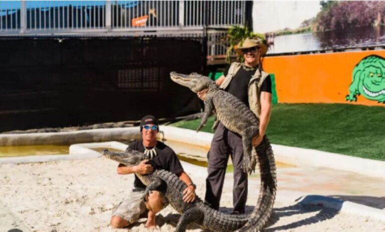 Miami Beach: Everglades Airboat Tours and Rides - What You Can Expect from This Tour