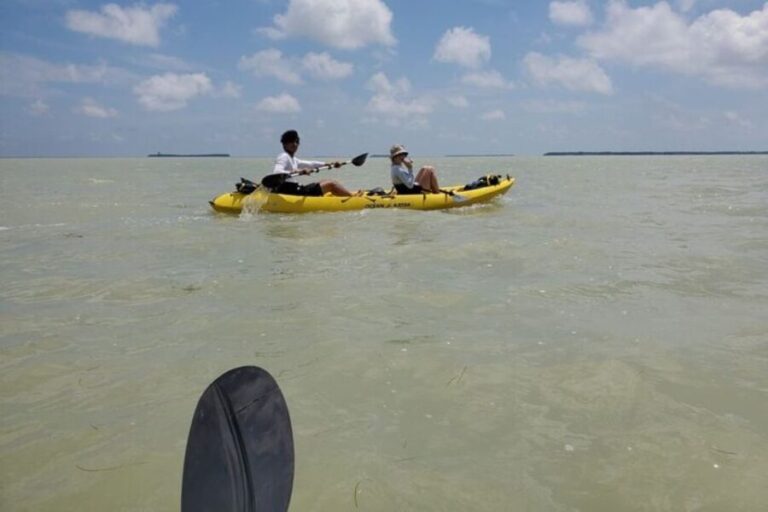 Miami: Everglades National Park Hiking and Kayaking Day Trip - What Makes This Tour Stand Out?