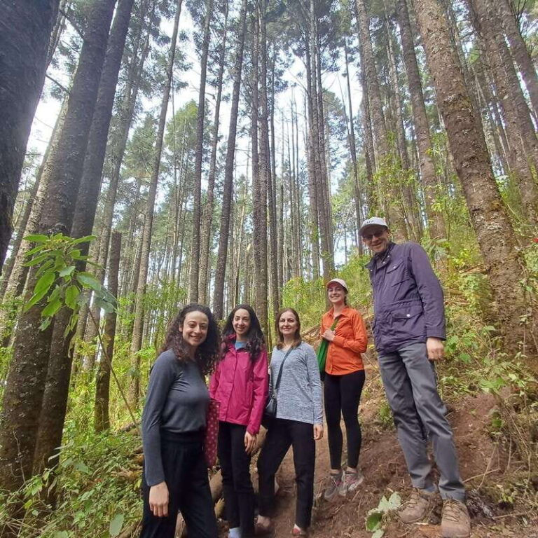 Monarch Butterfly Mexico Reserve Sanctuary & Valle de Bravo - Exploring the Sanctuary: What to Expect
