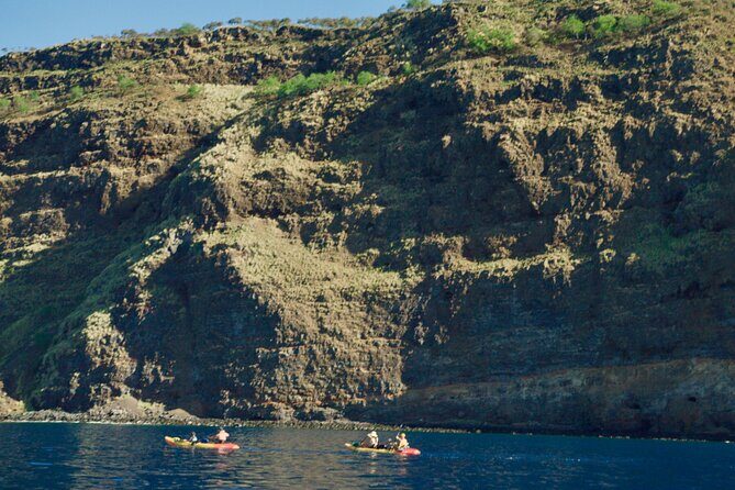Morning Magic Kayak and Snorkel Adventure in Kealakekua Bay - The Kayak Journey: Paddling Through Beauty