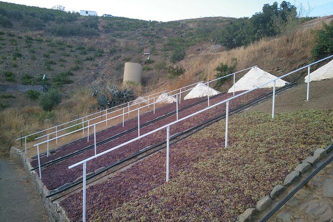 Muscat Raisin Route - Small group with lunch included - Transportation, Group Size, and Cost