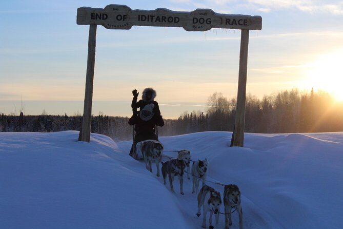 Mush Your Own Sled Dog Team (Winter Tour) in Talkeetna, Alaska - Final Thoughts