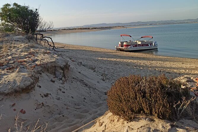 Nature Catamaran Tour from Faro - Frequently Asked Questions