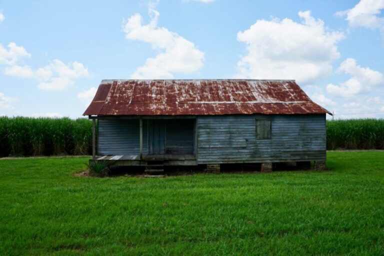 New Orleans: Felicity Plantation Guided Tour - Why This Tour Will Appeal to Different Travelers