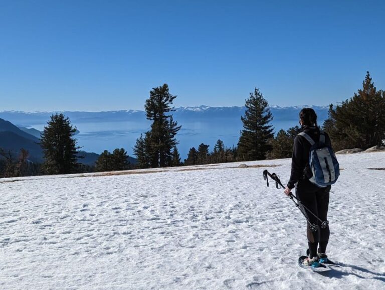 New Washoe City: Chickadee Ridge Beginner Snowshoeing Hike - What Makes This Tour Special?