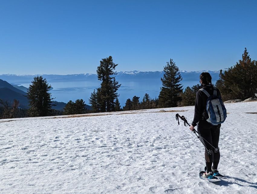 New Washoe City: Chickadee Ridge Beginner Snowshoeing Hike - What Makes This Tour Special?
