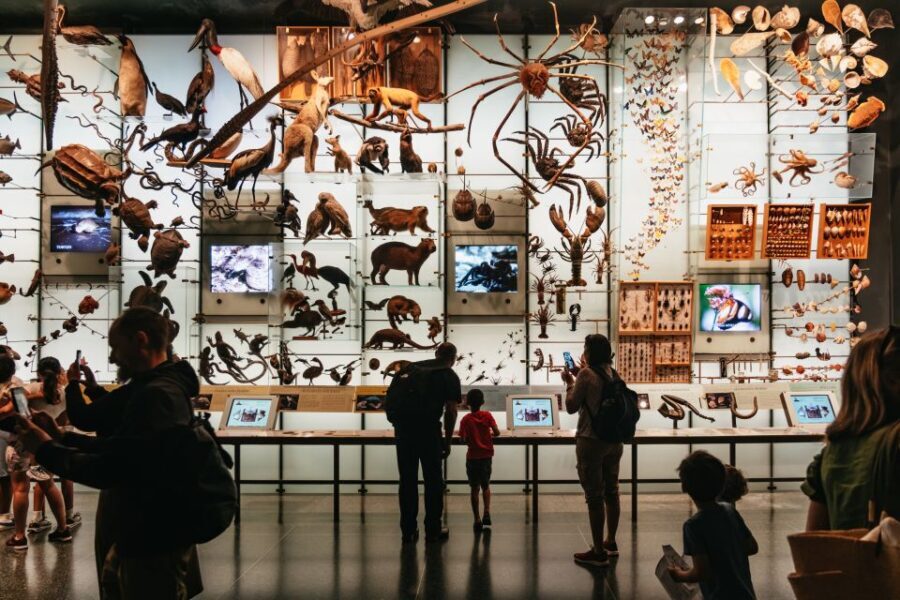 New York City: American Museum of Natural History Ticket - Practical Tips for Your Visit
