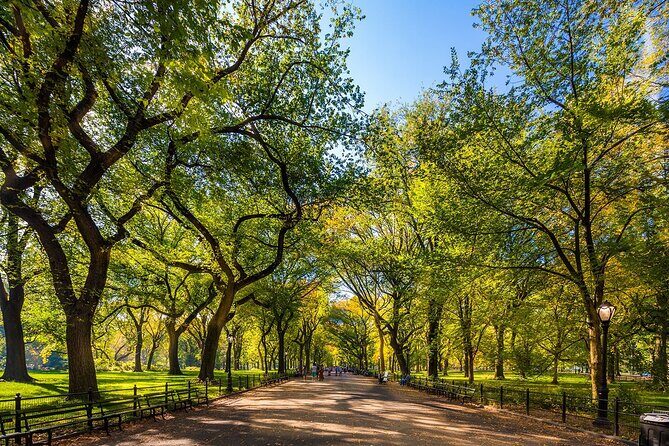New York City with Metropolitan Museum Half Day Walking Tour - Practical Details and What to Expect