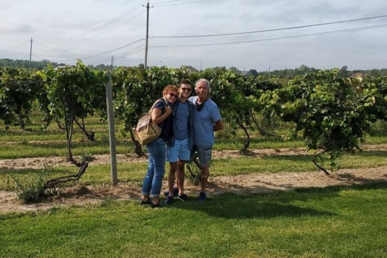 Niagara Falls: USA Small-Group Boutique Wine Tour - The Sum Up