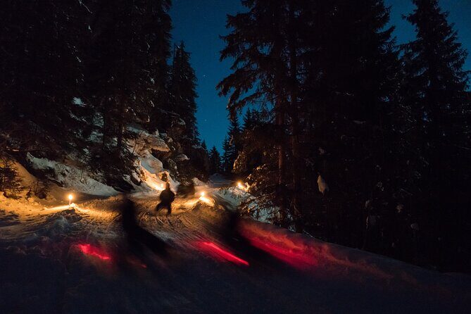 Night Sledding from Interlaken - Authentic Experiences & Tips from Reviewers