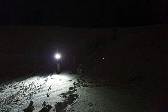 Nocturnal Skiing: Experience the Arctic's Magic - What the Reviews Say