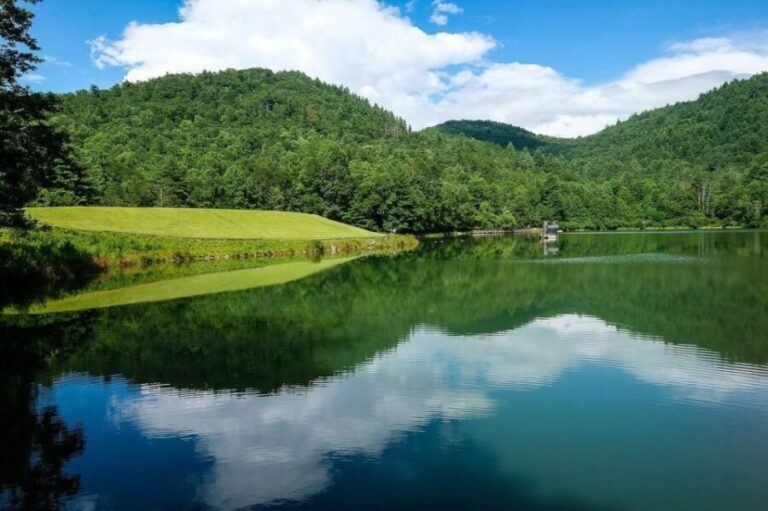 North Atlanta: Black Rock Mountain Park Self-Guided Tour - The Practical Side