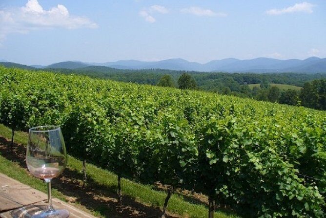 North Georgia Wine Country Tour from Atlanta - The Charm of Helen