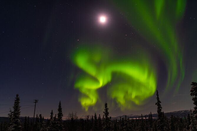 Northern Lights Adventure of a Liftetime from Anchorage - The Itinerary: What to Expect During Your Night