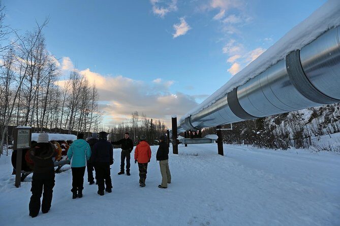 Northern Lights and Arctic Circle Trip from Fairbanks - The Practical Details: Transportation, Food, and Group Size