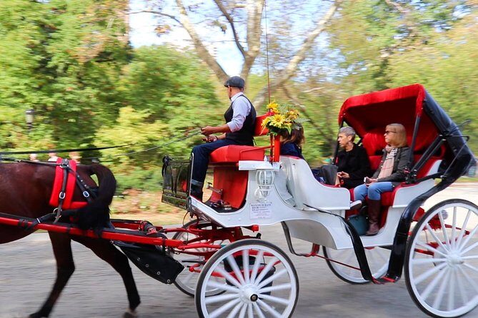 NYC Central Park Horse Carriage Ride (Up to 4 Adults) - Final Thoughts