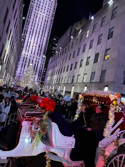 NYC: Christmas Lights Horse Carriage Ride - The Experience: What You’ll Love