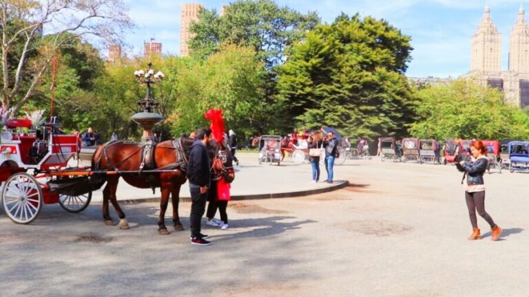 NYC: Guided Standard Central Park Carriage Ride (4 Adults) - The Itinerary: Highlights and Stops