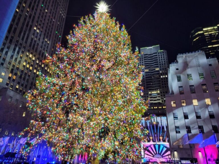 NYC: Holiday Lights Guided Bus Tour - What You’ll Get from the Experience