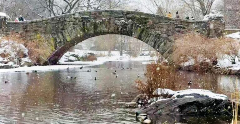 NYC: Home Alone 2 and Elf Tour in Central Park - The Stops and Highlights