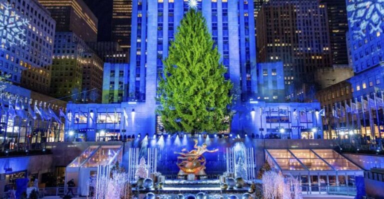 NYC: Magical Christmas Lights Carriage Ride (Up to 4 Adults) - Who Should Consider This Tour?