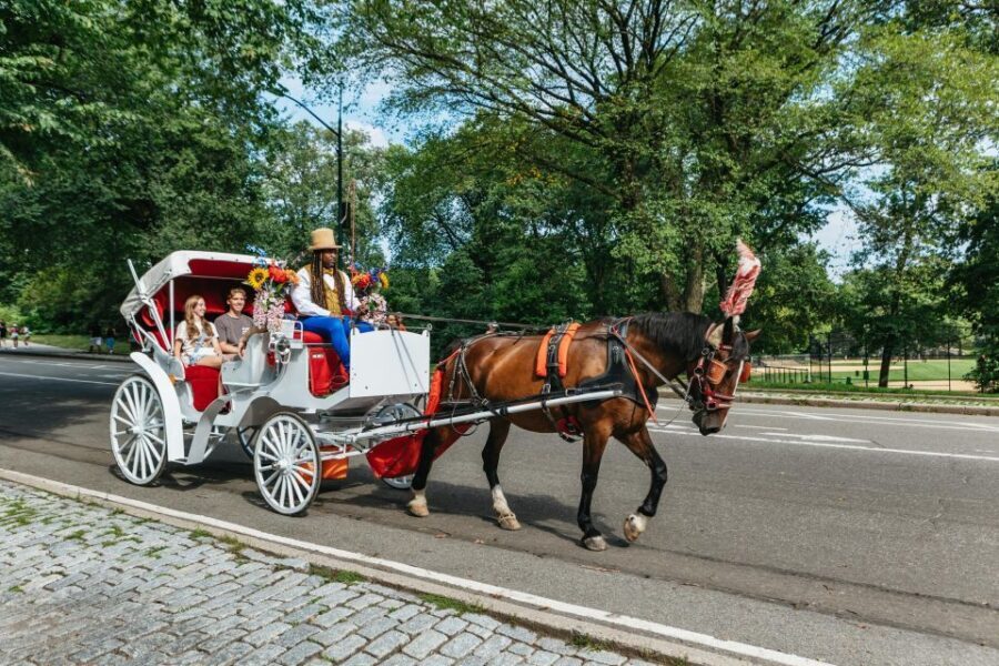 NYC MAGICAL NIGHT TIME RIDE Central Park/Rockefeller Center - What’s Notable and What to Consider