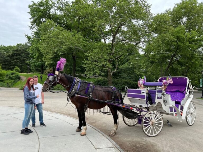 NYC: Private Central Park Horse Carriage Ride with Guide - What You’ll See & Learn