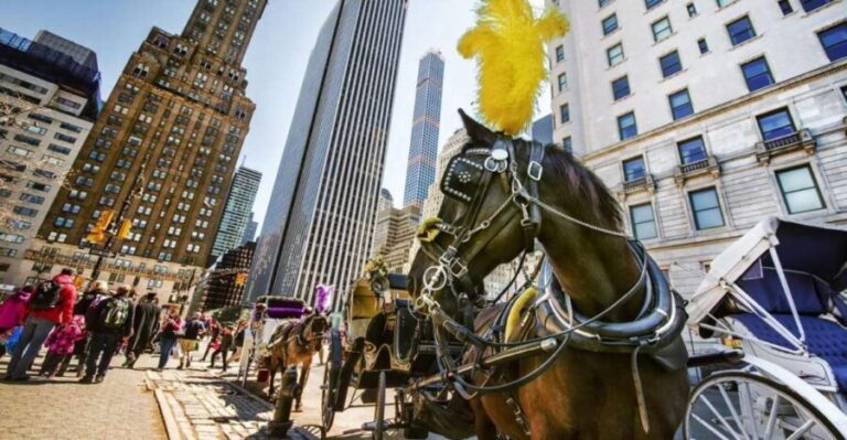NYC Private Central Park Horse Carriage Ride with Guide - Who Would Love This Experience?