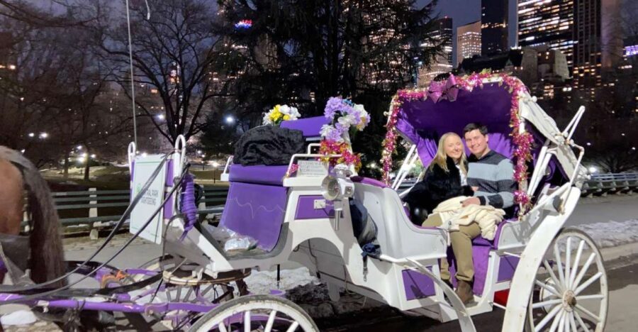 NYC: Private Christmas Lights Horse Carriage Ride - Who Will Love This Tour?