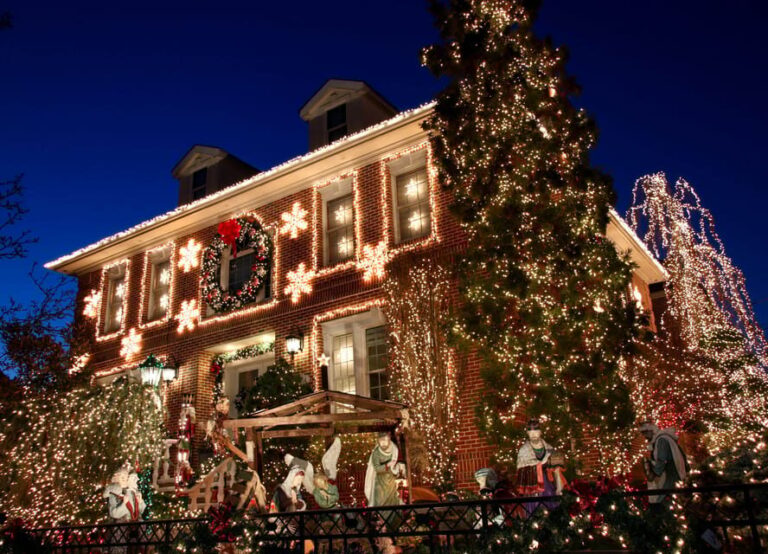 NYC: Private Dyker Heights and NYC Holiday Lights Tour - The Experience: How It Feels to Join