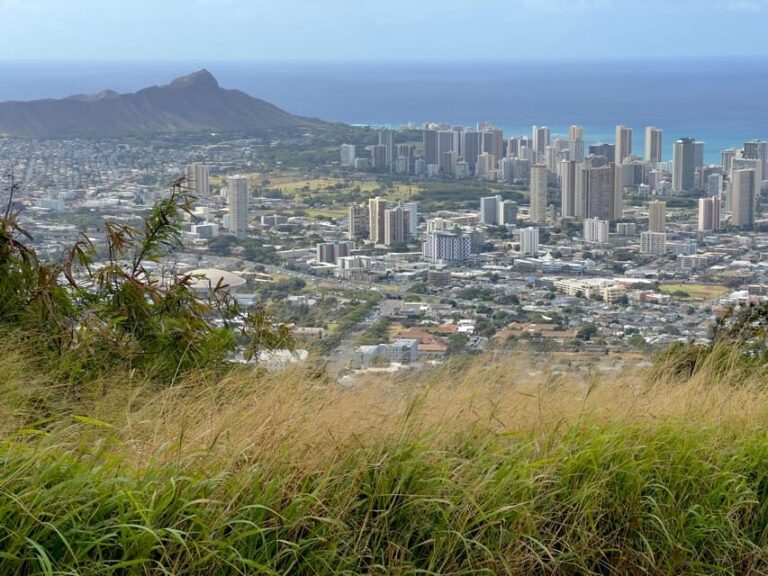 Oahu: Private Tour-Circle Island-Customizable - The Real-World Experience: What Past Travelers Say