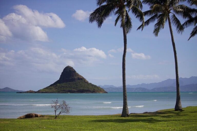 Oahu Sights and Shopping Slingshot Tour - What’s Included and What to Bring