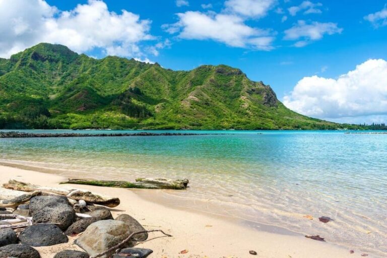 Oahu: Single & Double Kayak 3-Hour River Rental - What to Expect During the 3-Hour Rental