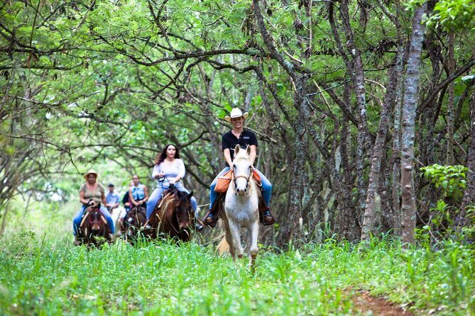 Oahu Sunset Horseback Ride - Final Thoughts: Who’s This Tour For?