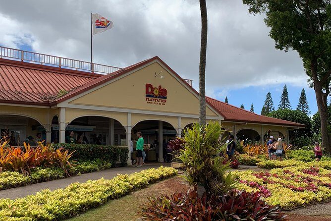 Oahu Tour - Pearl Harbor, Dole Pineapple & Oahu Tour - Who Is This Tour Best For?