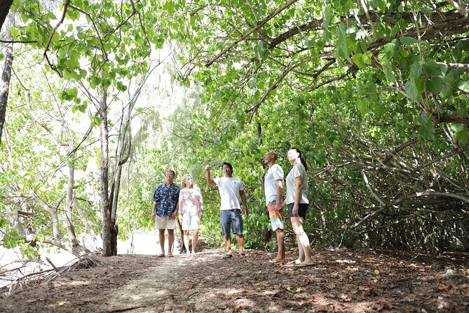 Oahu Uncovered: Full Island Tour with a Local Guide - Who Would Love This Tour?