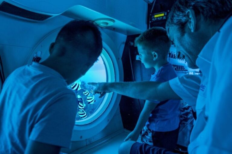 Oahu: Waikiki Submarine Tour - Pricing and Value
