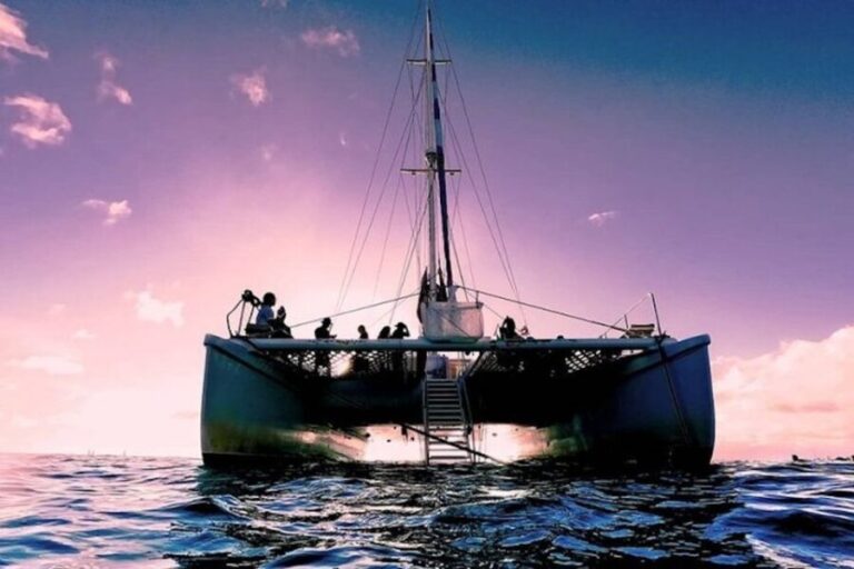 Oahu: Waikiki Sunset Catamaran Sail and Swim - The Experience in Detail