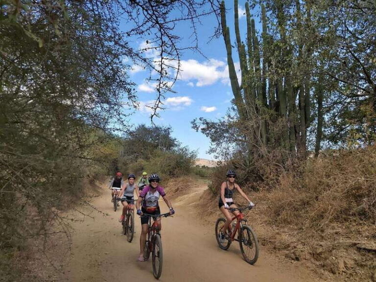 Oaxaca: Ejutla Canyon 1 Day Bike Tour - What’s Included and What to Bring