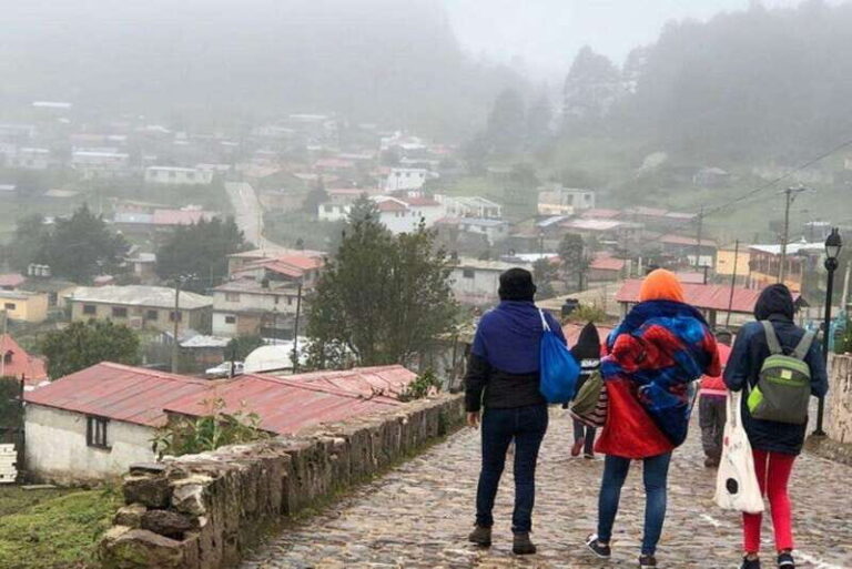 Oaxaca: Forest and Nature Walking Experience - Who Is This Tour Best For?